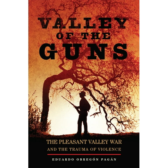 Valley of the Guns: The Pleasant Valley War and the Trauma of Violence, (Paperback)