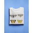 thumbnail image 3 of Vintage Butterflies Vi Sweatshirt Women -Vision Studio Designs, Female 4X-Large, 3 of 4