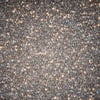 Dazzling Stars