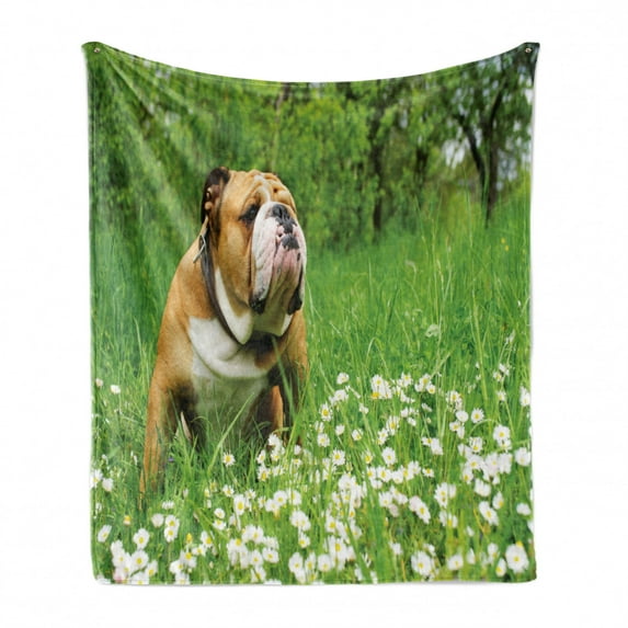 English Bulldog Soft Flannel Fleece Throw Blanket, Park in Spring with Blooming Daisies and Trees and Bulldog, Cozy Plush for Indoor and Outdoor Use, 60" x 80", Fern Green Brown White, by Ambesonne