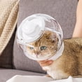 thumbnail image 1 of para gato, máscara de aseo, duradero, cómodo, antiarañazos, casco para gato, de burbuja para viaje, baño en casa, accesorios para gatos 12cm, 1 of 10