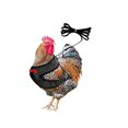 thumbnail image 2 of Agiferg Chicken Rope With Leash Elastic Comfortable Breathable Pet Rope, 2 of 2