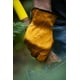 thumbnail image 3 of Guantes de trabajo Bear Knuckles de cuero de vaca resistente al agua, 3 of 8