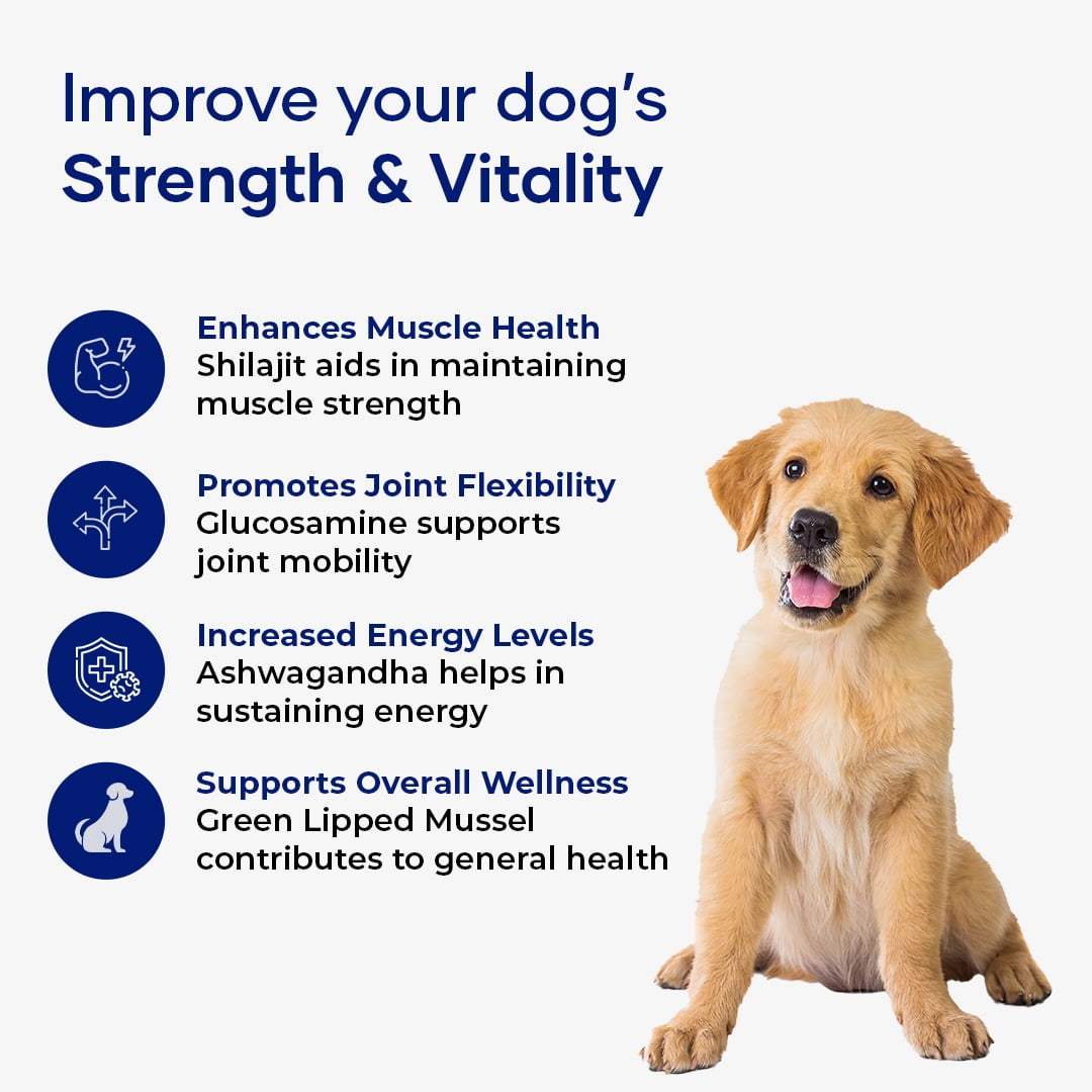 Aniwell Muscle Formula for Dogs: with Shilajit Ashwagandha and Green Lipped Mussel | Glucosamine Chondroitin Hip and Joint Support | Muscle Strength and Mobility