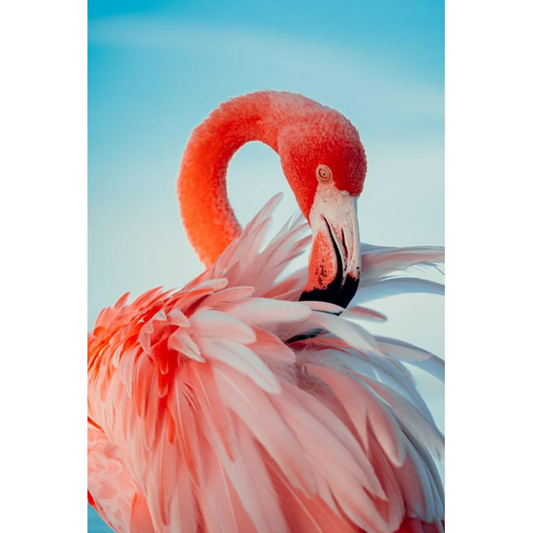 Royer 4.5 Pink Flamingo Picks, Set of 72 - Made in USA
