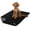 Black/Gray, variant on PetAmi Waterproof Dog Blanket for Medium Large Pets Dogs Cats, Pet Couch Cover Protector for Furniture, Reversible Washable Soft Fleece Cat Blanket for Bed Couch Sofa, 40x60 (Navy/Blue)