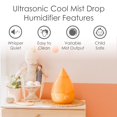 thumbnail image 2 of Humidificador ultrasónico Cool Mist de 3,8 litros para dormitorio, color naranja, 2 of 9