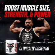 JNX Sports® The Curse! Creatine Monohydrate Powder – Micronized Creatine for Strength, Power & Daily Performance Support, Unflavored, 500 g, 100 Servings