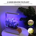 thumbnail image 4 of Indoor Herb Garden Kit Hydroponics Growing System Smart Planter with, 4 of 8