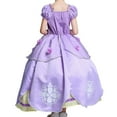 thumbnail image 3 of Girls Princess Costume Birthday Christmas Party Halloween Cosplay Fancy Dress Up Outfits w/Accessories, 3 of 5