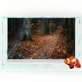 thumbnail image 2 of Aquarium Background Sticker - Autumn Path Forest Tree Leaf HD Poster Decoration - for 5-60 Gallon Fish Tanks Terrarium, 2 of 5