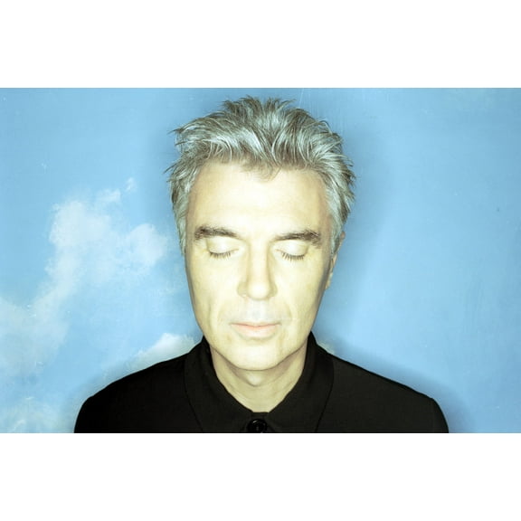 David Byrne Poster Talking Heads Art Poster 24x36 Unframed, Age: Adults, Rectangle Z Posters