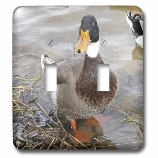 Duck Permanent Double-Stick Tape 1/2 x 300 1 Core Clear 0021087