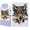 Dreamtime Wolf, variant on Diamond Dotz White Wolf Diamond Painting Kits for Adults - Diamond Art Kits a Relaxing Creative Craft Kit with Dotz Gems 14x18