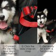 thumbnail image 5 of Cinturón de seguridad para coche para perros, arnés universal para coche, suministros de viaje para mascotas (1 unidad), 5 of 5