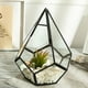 thumbnail image 2 of Terrario geométrico irregular de cristal poliedral, terrario, terrario, maceta, maceta, decoración paisajística Ecomeon  no, 2 of 6
