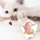 thumbnail image 3 of 5-10pcs Cat Toys Silvervine Chew Stick Healthy Kitten Treat Catnip Toy Cleaning Teeth Toys, 3 of 5