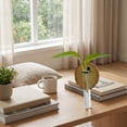 thumbnail image 6 of Wall Mounted Glass Planter, Natural Wood Slice Single Test Tube Hydroponic Vase, Hanging Plant Propagation Station for Indoor Home Decor and Office Wall Art Decoration, 6 of 6