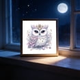thumbnail image 5 of Diamond Art Kits For Adults Elegant Owl DIY Rhinestone Kit, Exquisite Pearl Diamond Painting Kits for Home Wall Decor, 5 of 8