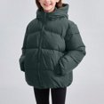 thumbnail image 4 of Girls Puffer Jackets Hooded Full Zip Warm Windproof Winter Coats Outerwear Size 2-3t, 4 of 5