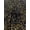 Black Gold, variant on 58" Wide Sequins Stretch Velvet Fabric | Spandex Velour for Apparel, Costumes, Scrunchies, Events, Dance Wear, Party Decor, Crafts, Upholstery, and DIY Projects