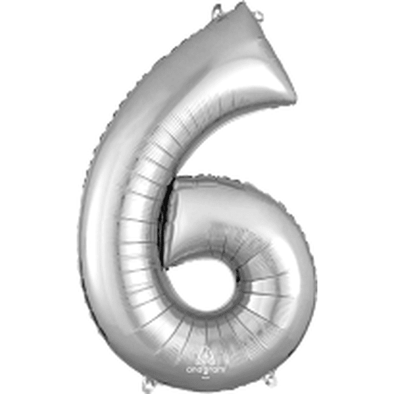 LRG SHP HX 6 SILVER (G3)