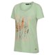 thumbnail image 3 of Regatta - Camiseta Filandra VII Plantas para Mujer (Verde Tranquilo), 3 of 6