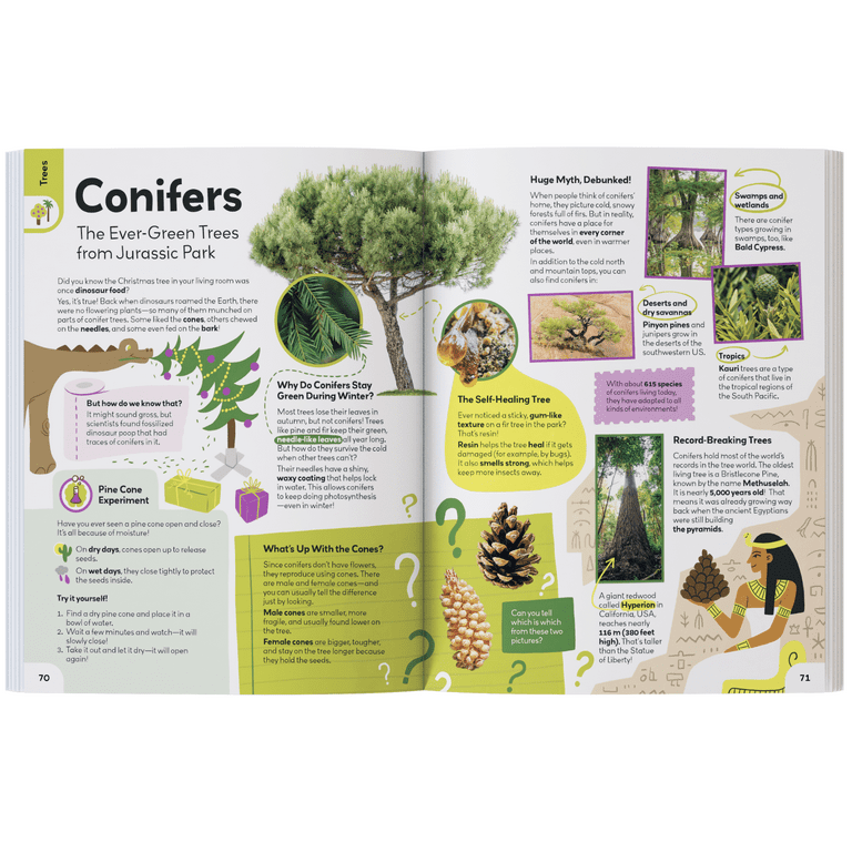 My First Plant Book [Book]