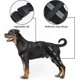 thumbnail image 4 of Dog Knee Brace with Reflective Seat Belts, 4 of 5