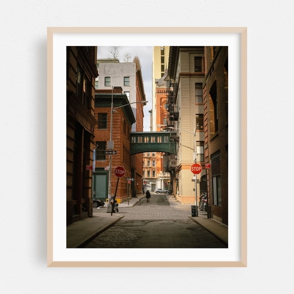 Staple Street Skybridge, Tribeca 01 - Manhattan New York Photography Oak Framed Wall Art Print 24 x 30 inches