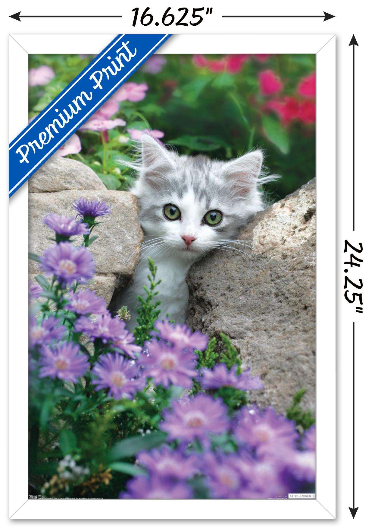 Keith Kimberlin - Kitten - Stones and Flowers Wall Poster, 14.725" x 22.375", Framed