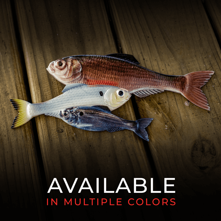 bass fishing with lucky craft lures Pointer 78 PT78-225 MS Ghost Chartreuse Shad series:berkley_classics while in the suspended Daiwa 10 Certate 2506 Model:LX-HD500H-P (7.1:1 - Right Hand)