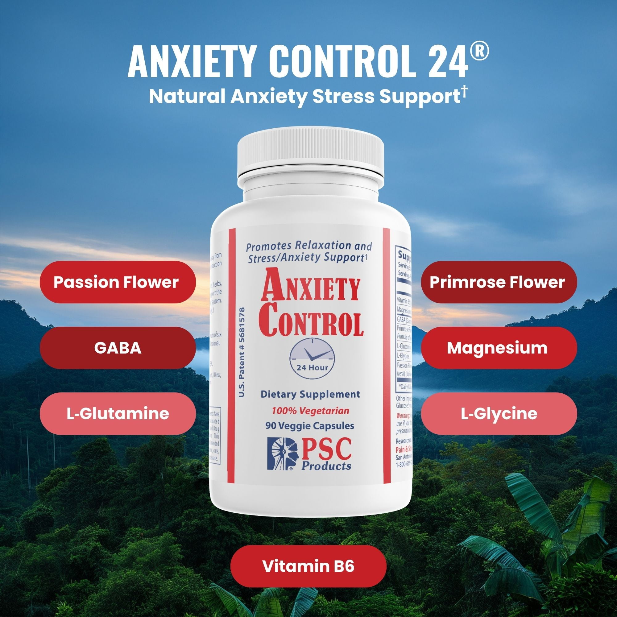 Anxiety Control 24® Stress Relief Supplement with GABA, L-Theanine & Ashwagandha for Calm Mood & Relaxation, 90 Capsules