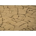 thumbnail image 1 of Ahgly Company Indoor Rectangle Patterned Bee Yellow Area Rugs, 5' x 8', 1 of 1