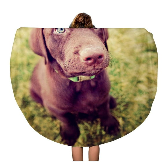 JSDART 60 inch Round Beach Towel Blanket Blue Cute Chocolate Lab Puppy Sitting in The Grass Travel Circle Circular Towels Mat Tapestry Beach Throw