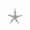 Gold, variant on Christmas Tree Top Star, Iron Starfish Ornaments, Five Pointed Star Window Hanging Decoration, White Silver Glitter Finish Durable Holiday Party Ornament 20x15cm