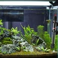 thumbnail image 4 of Calentador de acuario Zulema Calentador de termostato automático sumergible 100W 230mm, 4 of 8