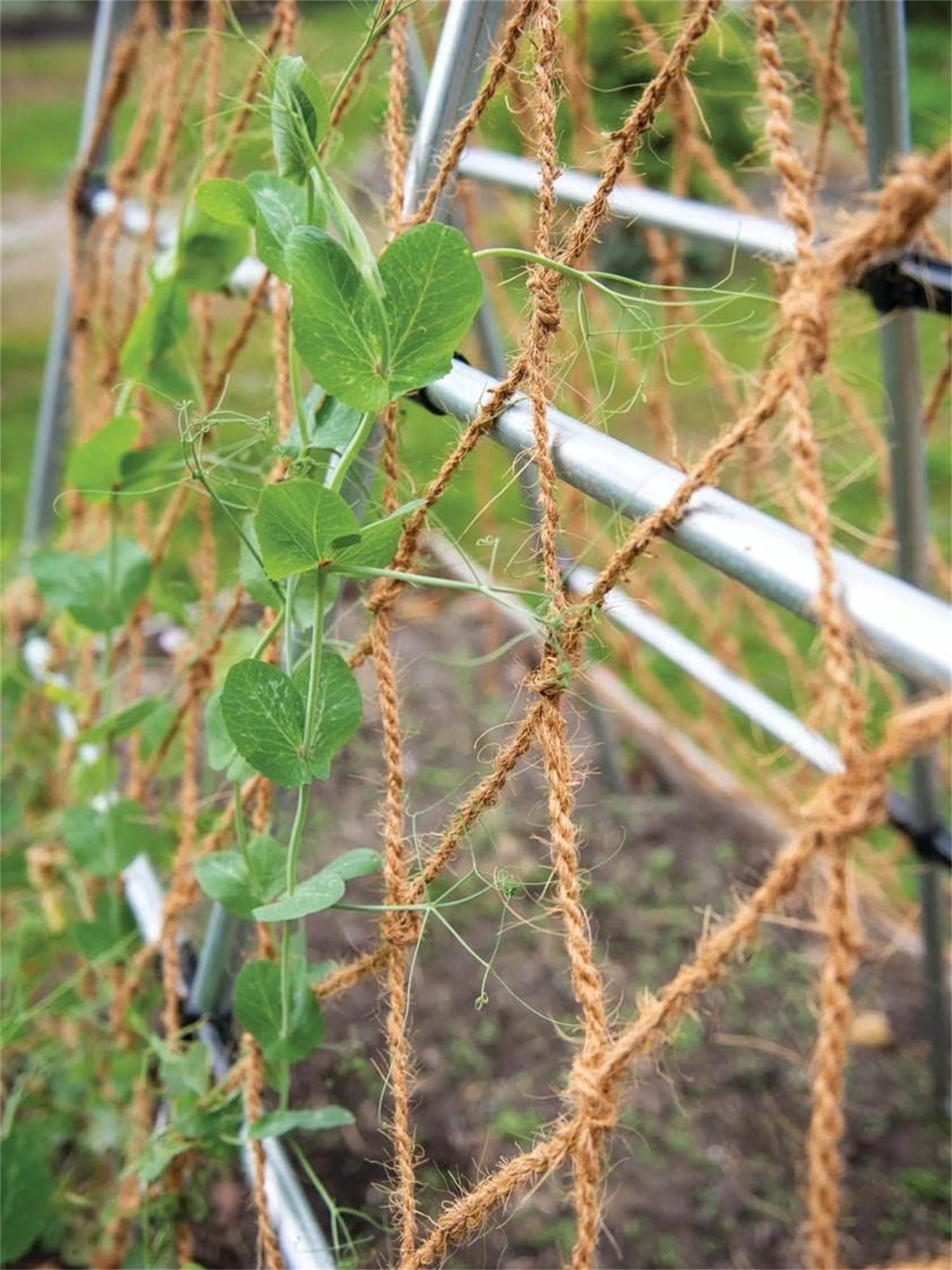 Natural Jute Net for Climbing Plants Outdoor -Bexikou Garden Plant Trellis Netting,Garden Trellis for Garden Climbing Vining Plants Cucumber,Vine, Fruits & Vegetables Tomato(5.9 Ft x 11.5 Ft)