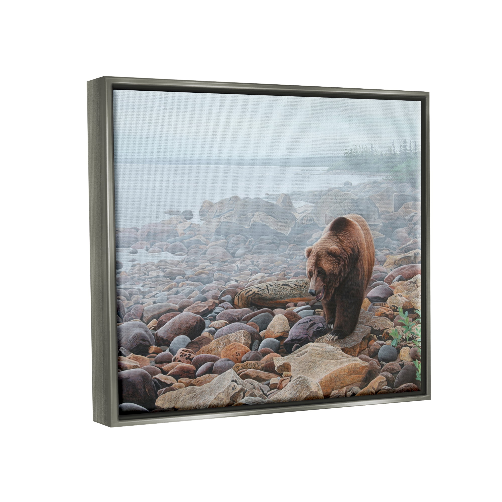 Stupell Industries Bear on Rocky Shore Nature Photography Gray Floater Framed Art Print Wall Art, 31 x 25