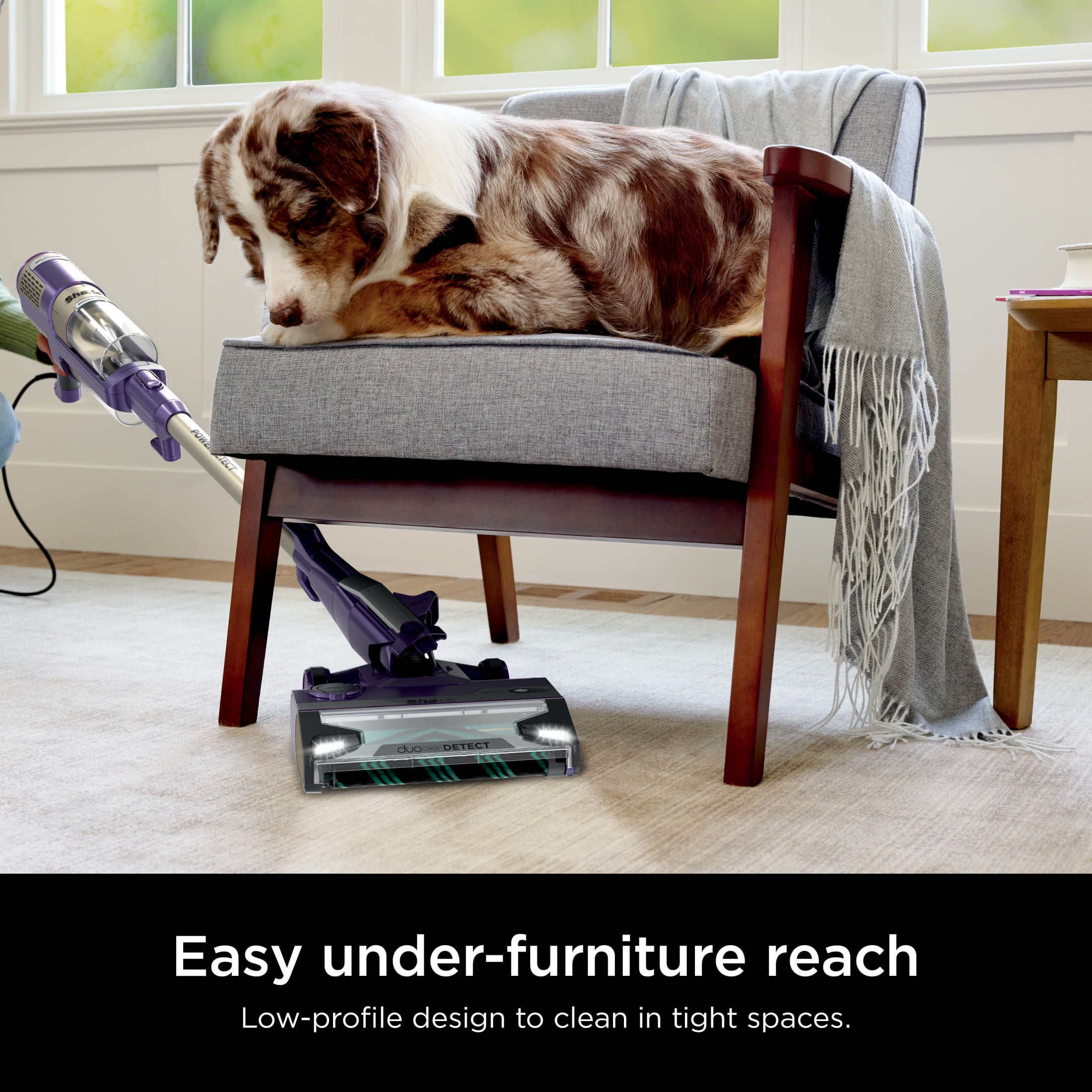 Shark POWERDETECT Corded Stick Vacuum, Carpet and Hardfloors, Pet Friendly, with DuoClean Detect Technology, Self-Cleaning Brushroll, HZ4002 Purple