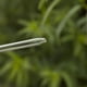 thumbnail image 4 of Dispositivo de autorriego Maceta Maceta Maceta decorativa F/Planta Flores Hierbas Seta Zulema Dispositivo de riego, 4 of 8