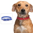 thumbnail image 4 of Dog Collar Leather Puppy Collars Adjustable Dog Collars fo Small Dogs Multicolor Pet Collar, 4 of 5