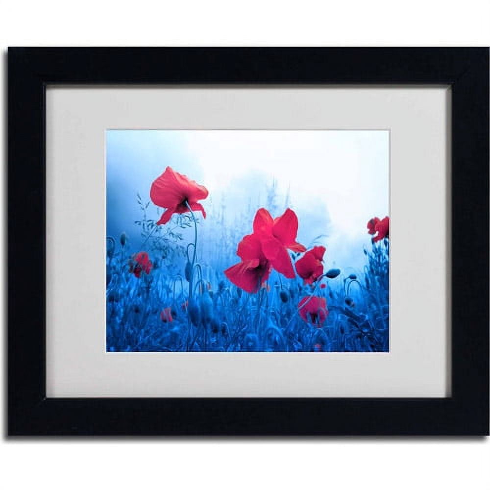 Trademark Fine Art "Jam for Poppies" Canvas Art by Philippe Sainte-Laudy, Black Frame