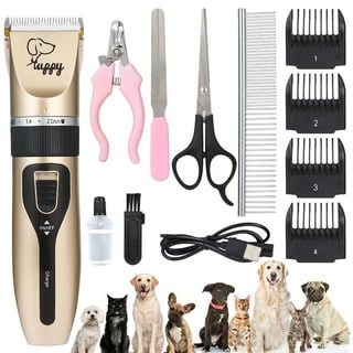 Dog Ai Kit