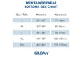 thumbnail image 5 of Gildan Men's Cotton Stretch Briefs 5-Pack, Sizes S-2XL, 5 of 6
