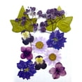 thumbnail image 5 of Hojas de margaritas secas naturales reales con pinzas para manualidades, velas, accesorios, creaciones artesanales de joyería (modelo blanco), 5 of 5