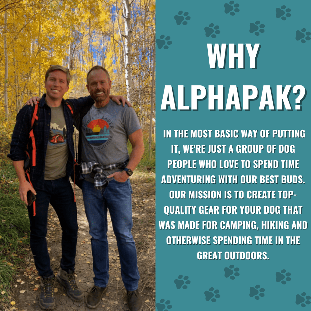 Alpha Pak | Cascades Stretchable Runner Dog Leash | Hands-Free | Reflective | Durable | 6-10 ft. Stretched | Metallic Blue