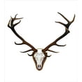 thumbnail image 3 of Antlers Duvet Cover Set, Antlers of a Huge Stag Bones Mounted on a Wooden Plate Prize Skull Print, Decorative 3 Piece Bedding Set with 2 Pillow Shams, Queen Size, Brown and Pale Grey, by Ambesonne, 3 of 3