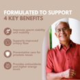 thumbnail image 2 of Unique Formula Prostate support for Men – Saw Palmetto, Pumpkin Seed, Zinc & Selenium – Promotes Urinary Flow, Reduces Nighttime Bathroom Trips & Supports Bladder Health | 90 Capsules, 2 of 8
