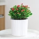 thumbnail image 4 of 4 macetas blancas para orquídeas, de plástico, para interiores, autorriego, con agujeros, para viveros, plantas, plántulas y jardinería., 4 of 7